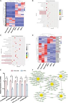 circDENND1B Participates in the Antiatherosclerotic Effect of IL-1β Monoclonal Antibody in Mouse by Promoting Cholesterol Efflux via miR-17-5p/Abca1 Axis